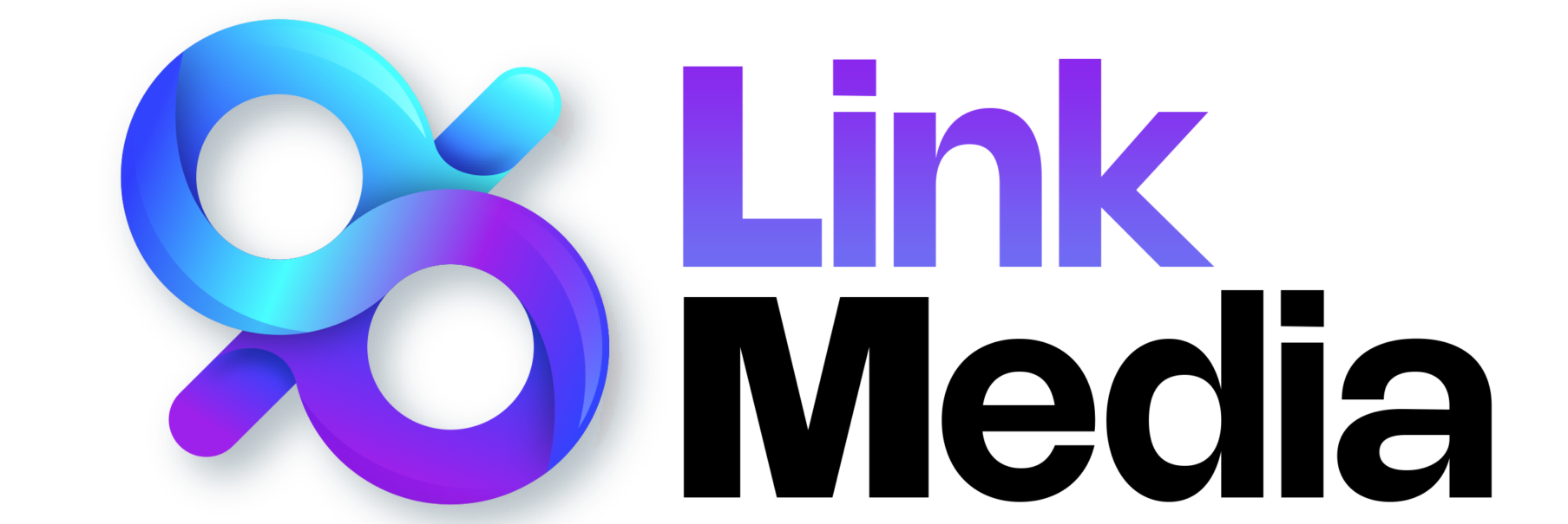 link media website logo